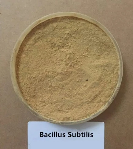 product-435-486 product-435-486